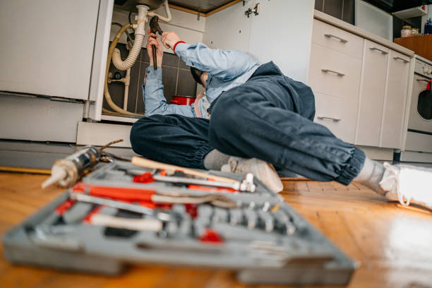 Best Local Plumber Services  in Breese, IL