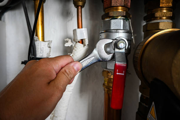 Best Sewer Line Repair  in Breese, IL